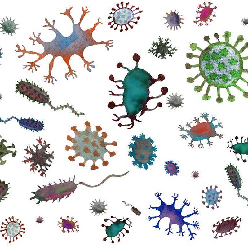 CAI - Contrer les agents infectieux