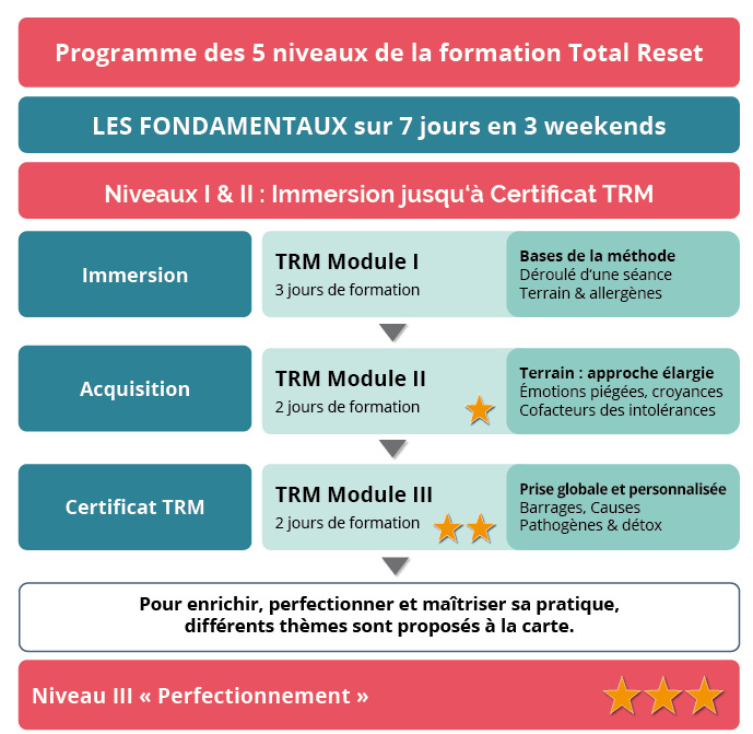 Organigramme des 5 niveaux